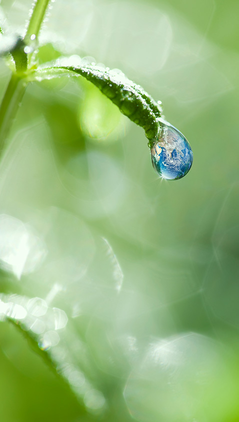 A water droplet hangs from a leaf, showcasing the beauty of nature's intricate design. Piping solutions are implied.